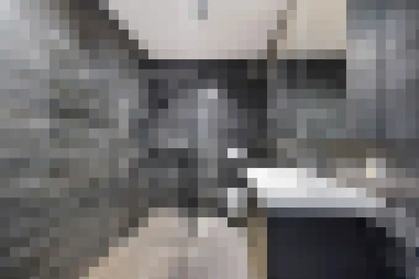 Vaart ZZ 4 D Nieuw-Amsterdam thumbnail 23