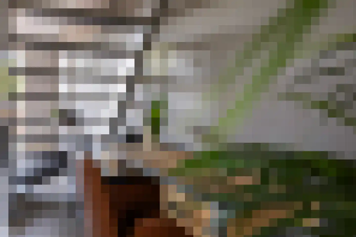 Vaart ZZ 4 D Nieuw-Amsterdam thumbnail 26