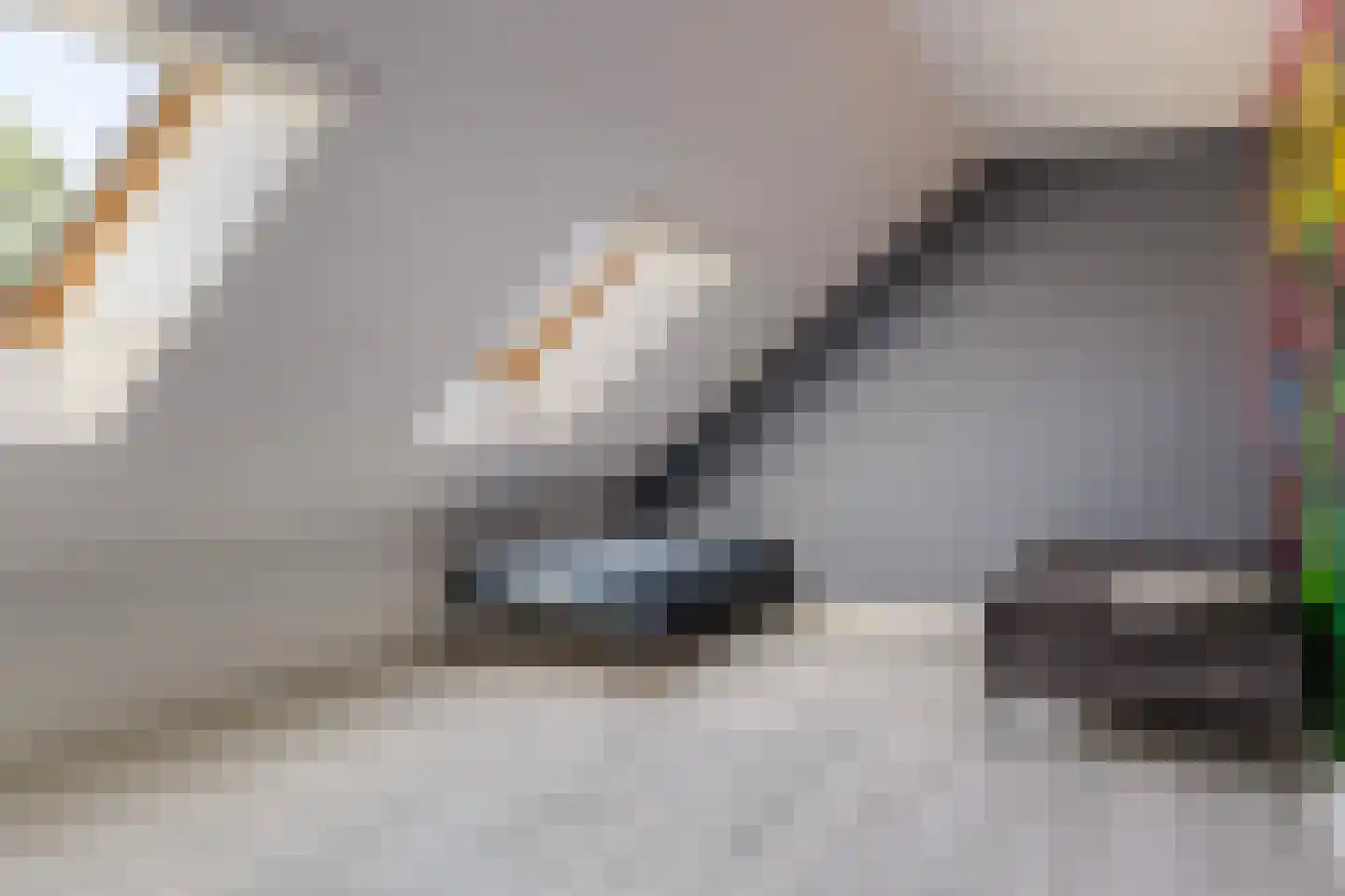 Vaart ZZ 4 D Nieuw-Amsterdam thumbnail 28
