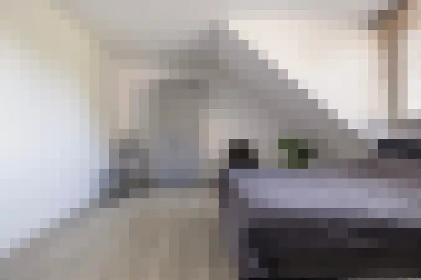 Vaart ZZ 4 D Nieuw-Amsterdam thumbnail 32