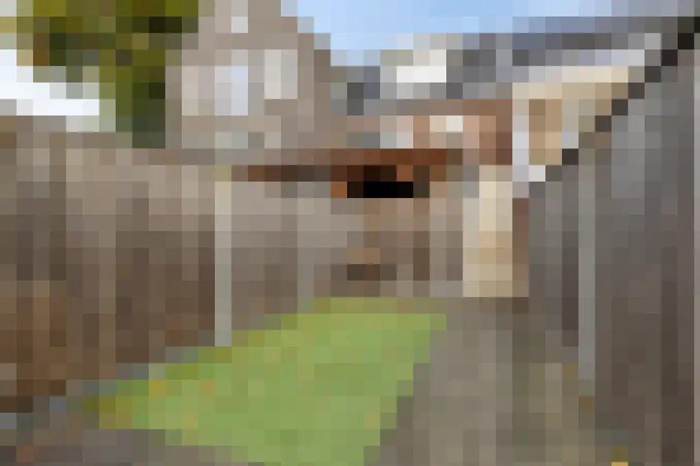 Vaart ZZ 4 D Nieuw-Amsterdam thumbnail 36
