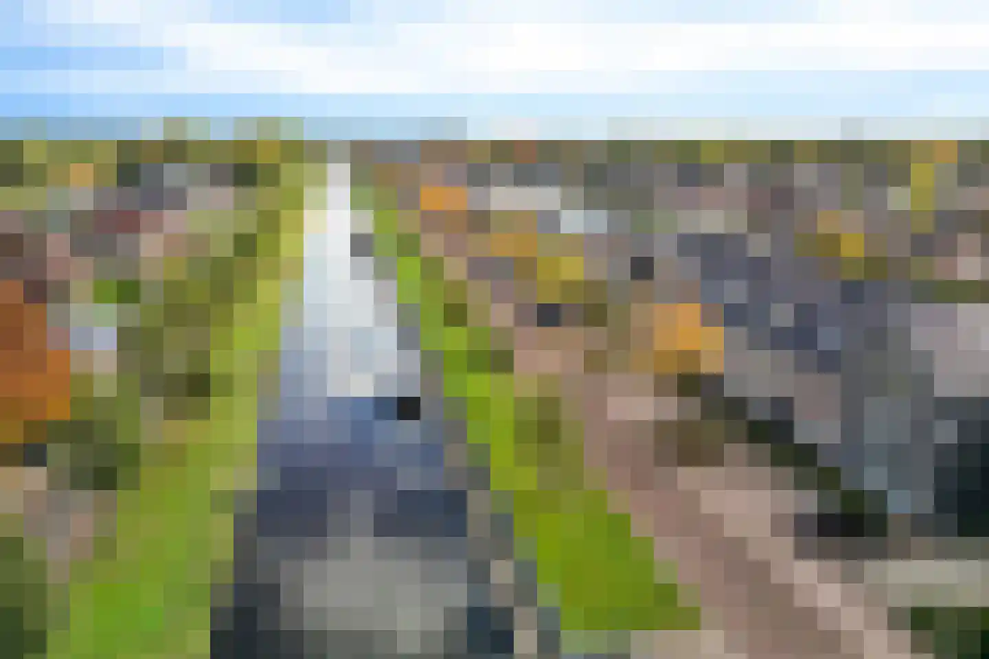 Vaart ZZ 4 D Nieuw-Amsterdam thumbnail 46