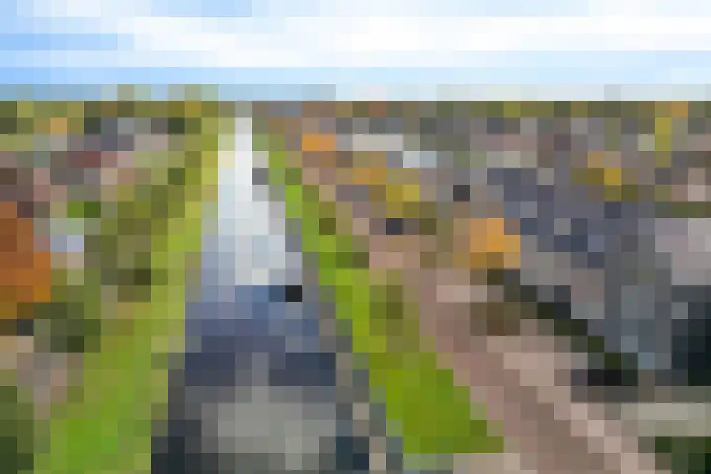 Vaart ZZ 4 D Nieuw-Amsterdam thumbnail 46