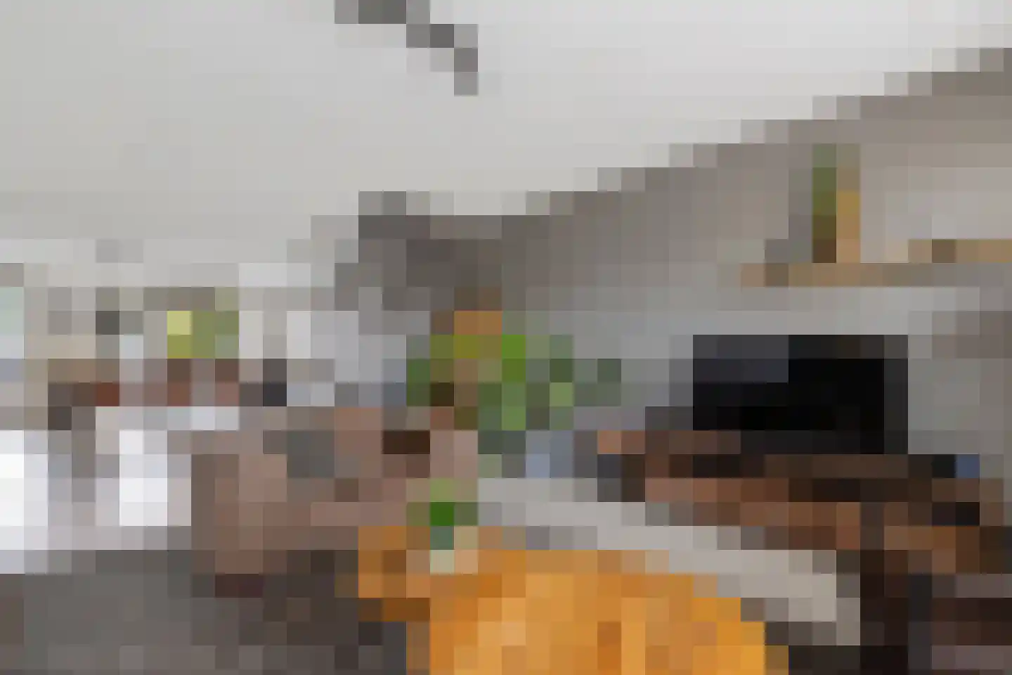 Vaart ZZ 4 D Nieuw-Amsterdam thumbnail 5