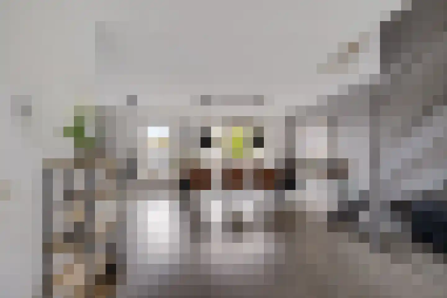 Vaart ZZ 4 D Nieuw-Amsterdam thumbnail 7