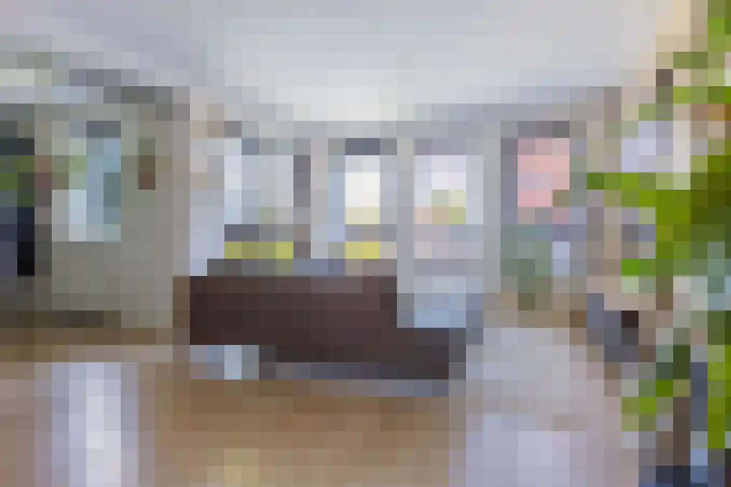 Vaart Zz 53 A Appelscha thumbnail 16