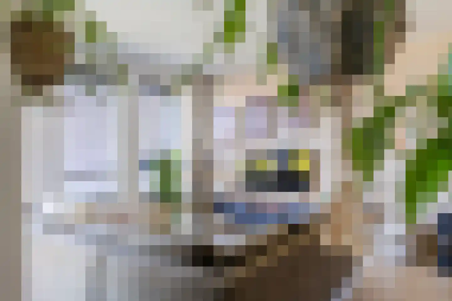 Vaart Zz 53 A Appelscha thumbnail 17