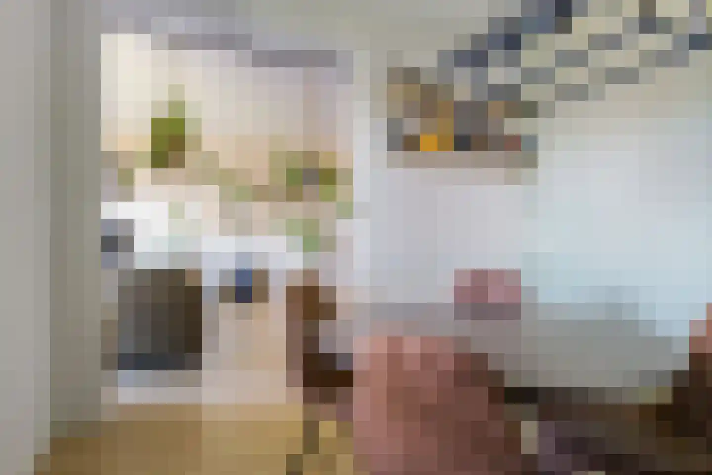 Vaart Zz 53 A Appelscha thumbnail 20