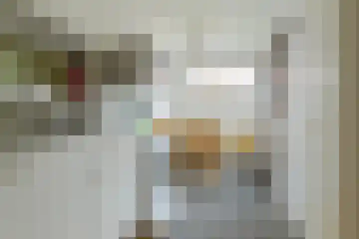 Vaartbossen 13 Breda thumbnail 11