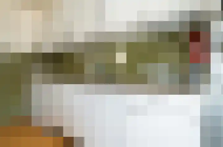Vaartbossen 13 Breda thumbnail 12