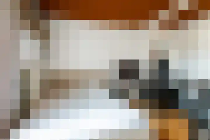 Vaartbossen 13 Breda thumbnail 16