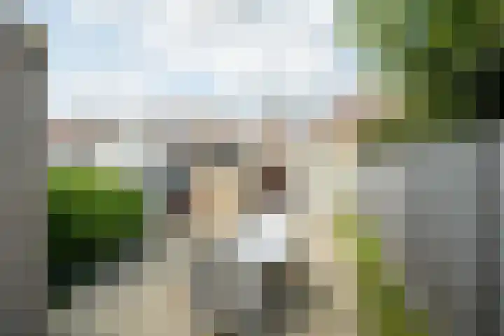 Vaartbossen 13 Breda thumbnail 19