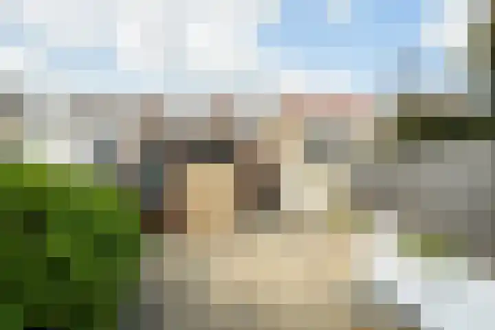 Vaartbossen 13 Breda thumbnail 24