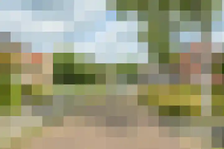 Vaartbossen 13 Breda thumbnail 39
