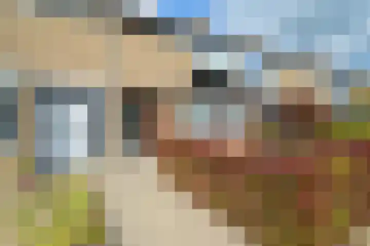 Vaartbossen 13 Breda thumbnail 4
