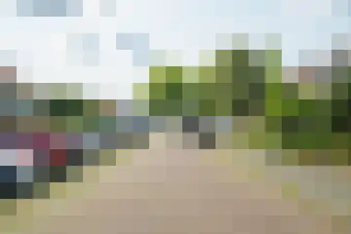 Vaartbossen 13 Breda thumbnail 40