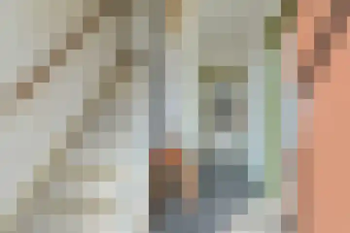 Vaartbossen 13 Breda thumbnail 6