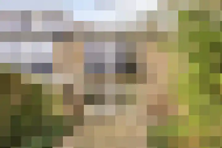Vaartbossen 14 Breda thumbnail 16