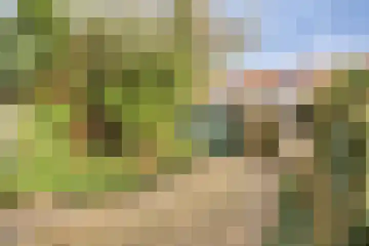 Vaartbossen 14 Breda thumbnail 17