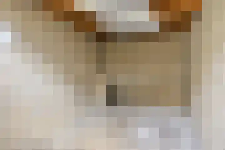 Vaartbossen 14 Breda thumbnail 18