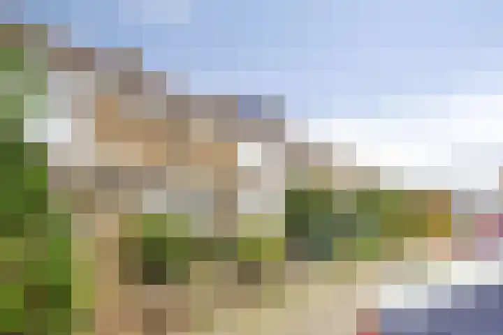 Vaartbossen 14 Breda thumbnail 20