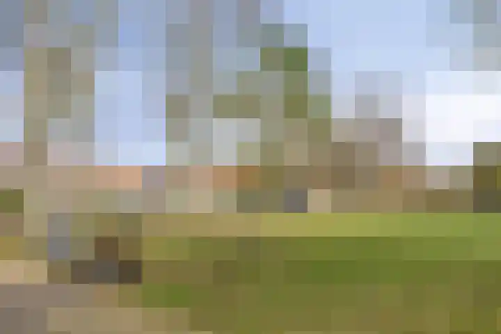Vaartbossen 14 Breda thumbnail 21