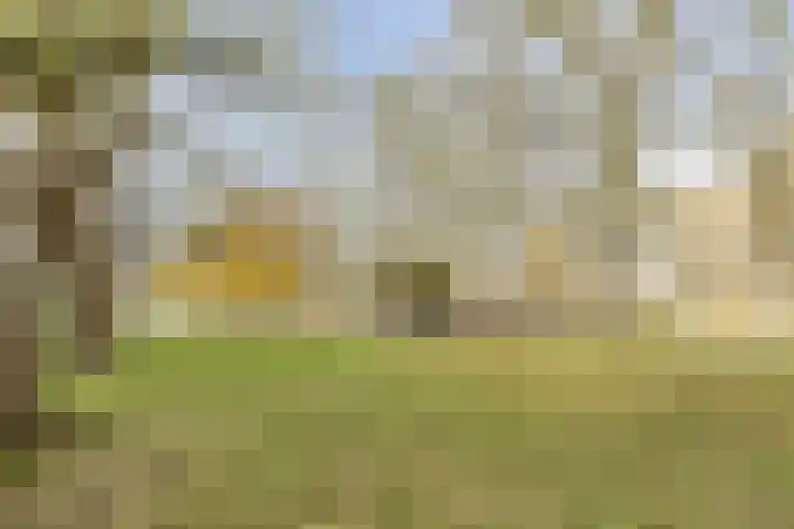 Vaartbossen 14 Breda thumbnail 22