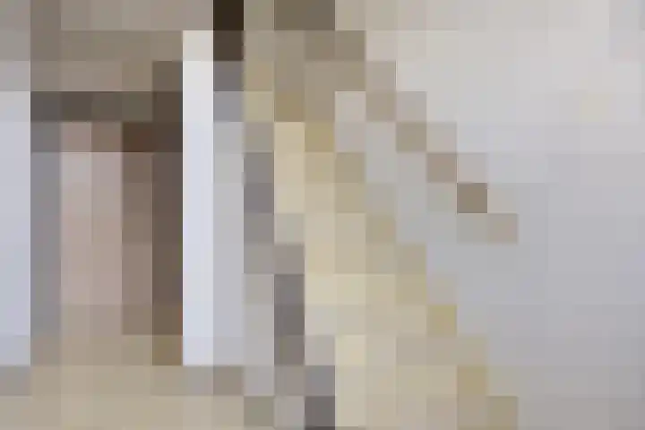 Vaartbossen 14 Breda thumbnail 6