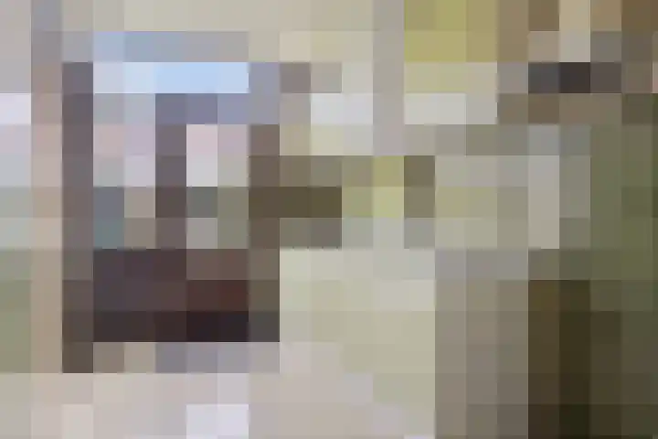 Vaartbossen 14 Breda thumbnail 9