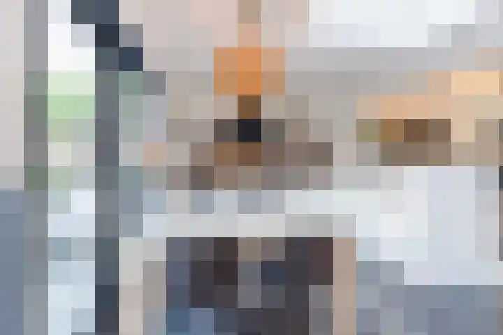 Vaartbossen 4 Breda thumbnail 10
