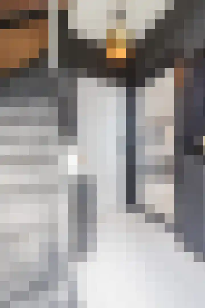 Vaartbossen 4 Breda thumbnail 13