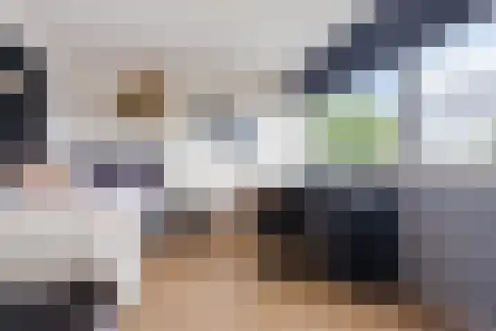 Vaartbossen 4 Breda thumbnail 18
