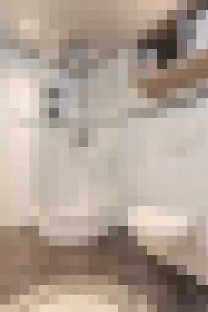 Vaartbossen 4 Breda thumbnail 25