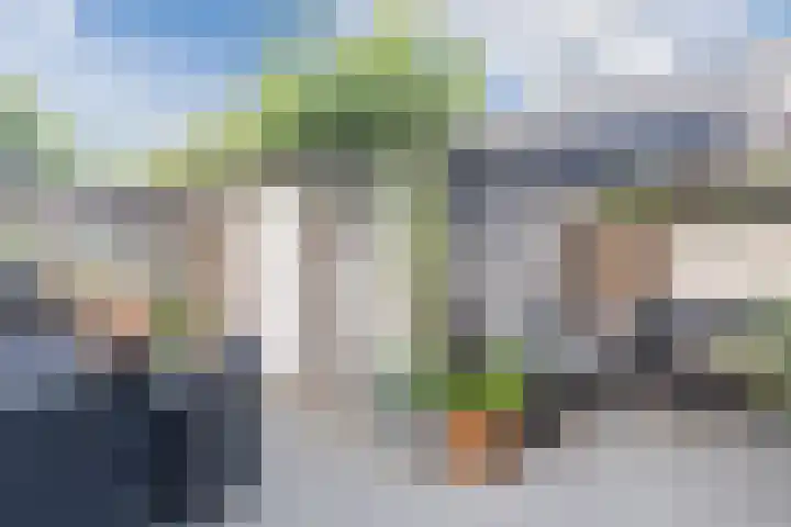 Vaartbossen 4 Breda thumbnail 28