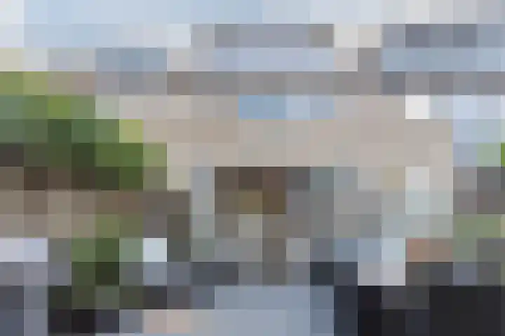 Vaartbossen 4 Breda thumbnail 29