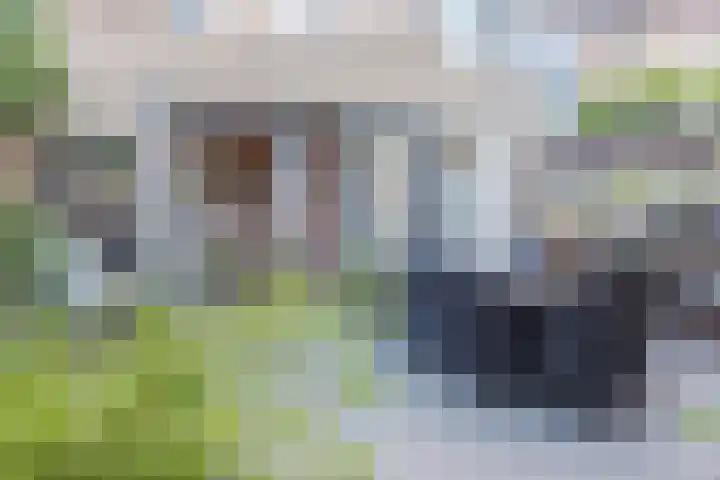 Vaartbossen 4 Breda thumbnail 30