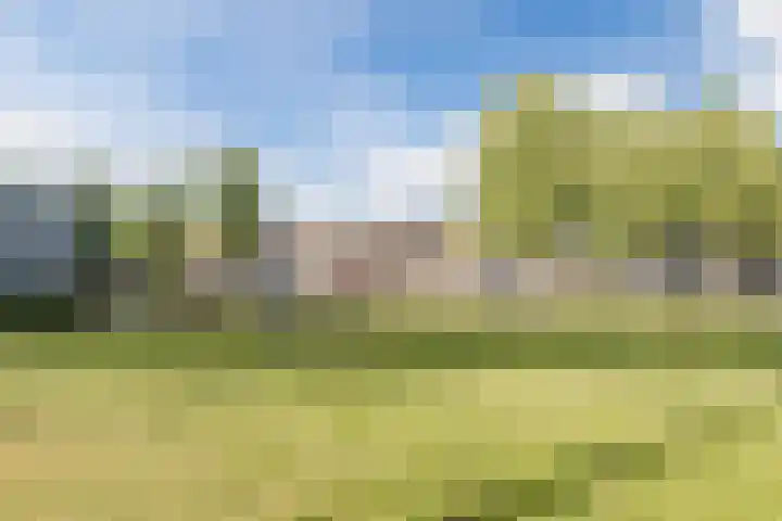 Vaartbossen 4 Breda thumbnail 31