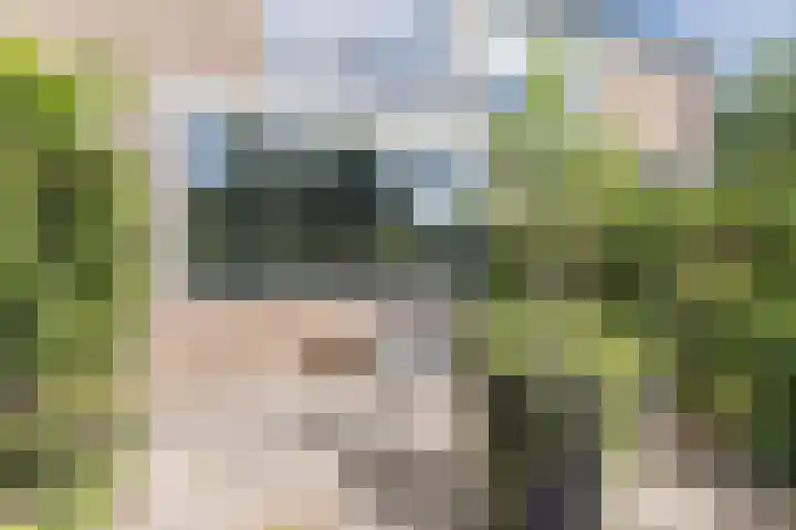 Vaartbossen 4 Breda thumbnail 32