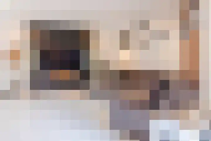 Vaartbossen 4 Breda thumbnail 4
