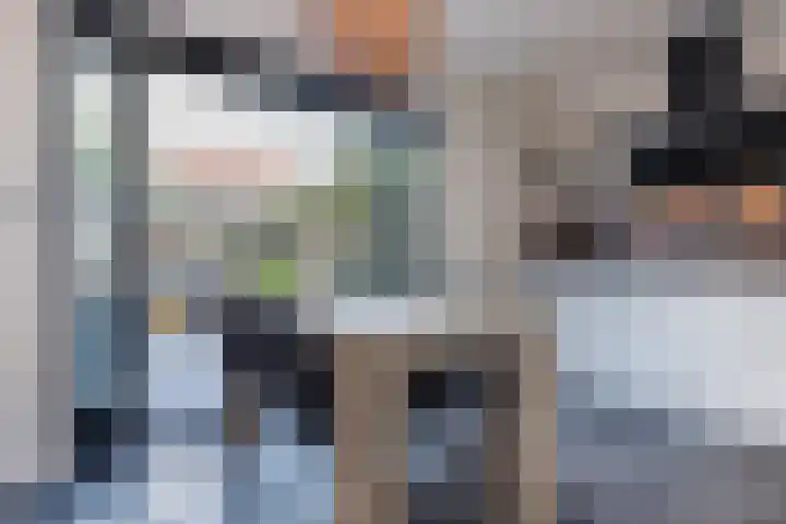 Vaartbossen 4 Breda thumbnail 8