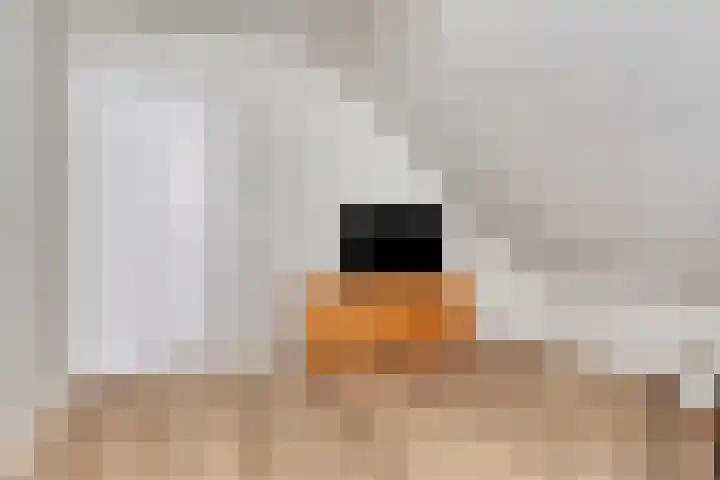 Vaartdijk 11 Someren thumbnail 24