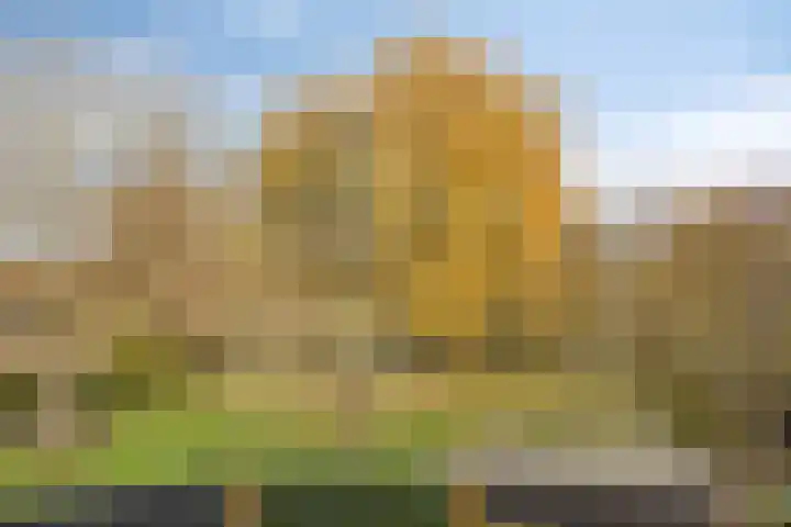 Vaartdijk 11 Someren thumbnail 31