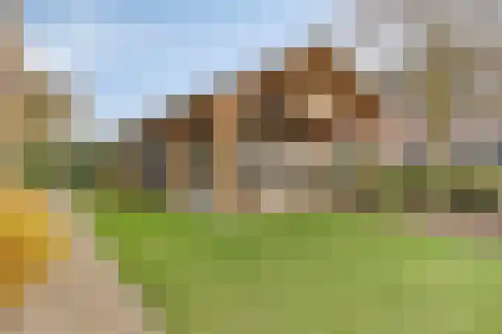 Vaartdijk 11 Someren thumbnail 32