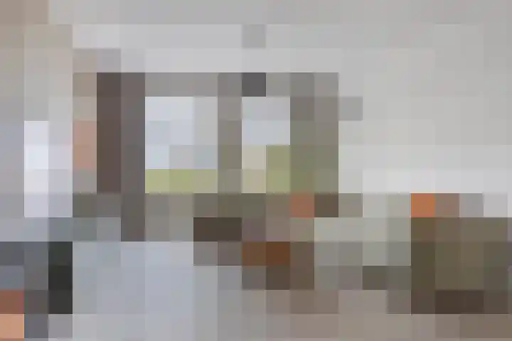 Vaartdijk 11 Someren thumbnail 4