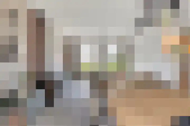 Vaartdijk 11 Someren thumbnail 5