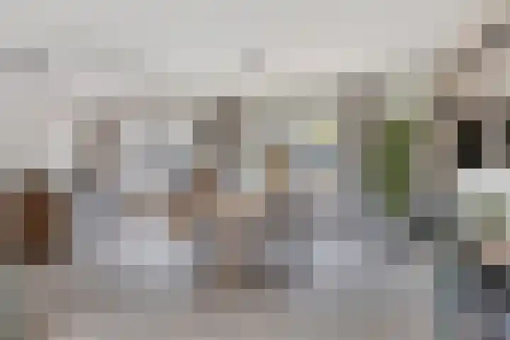 Vaartdijk 11 Someren thumbnail 7