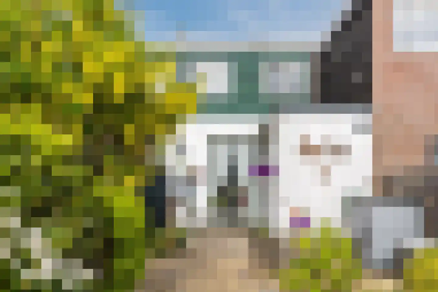 Vaartdijk 18 Wormerveer thumbnail 27