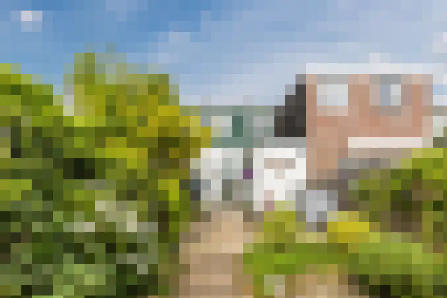 Vaartdijk 18 Wormerveer thumbnail 28
