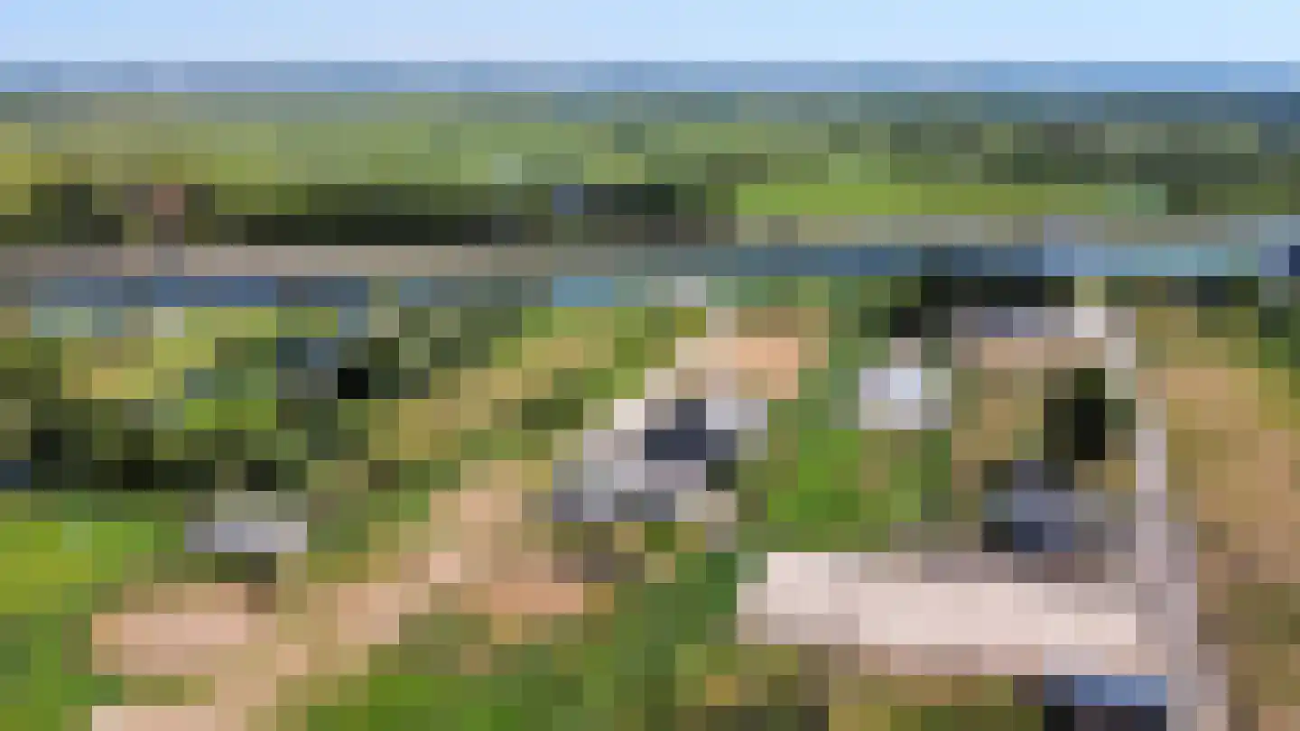 Vaartdijk 27 C Assendelft thumbnail 21