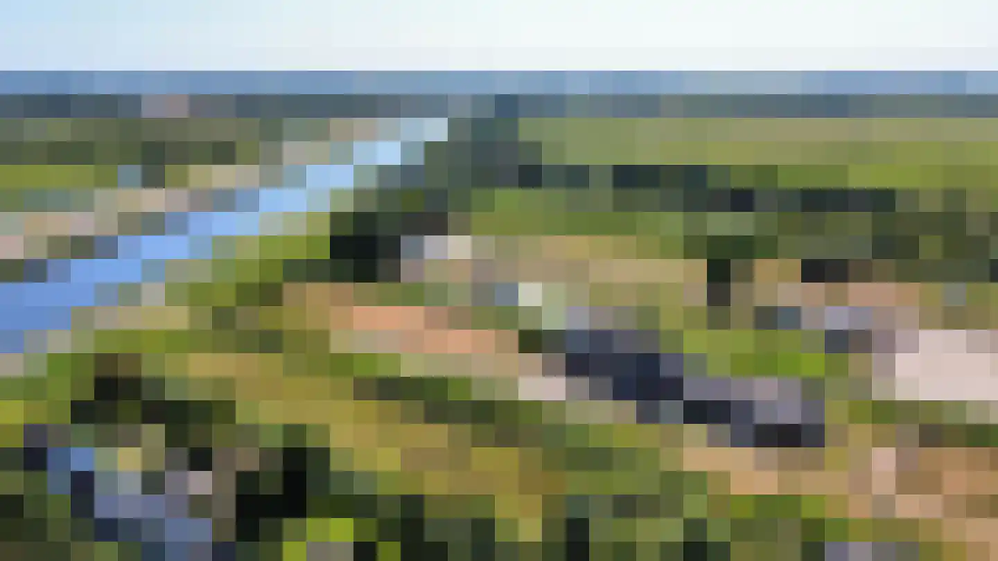 Vaartdijk 27 C Assendelft thumbnail 22
